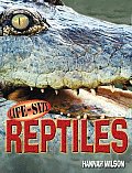Life Size Reptiles