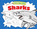 Pencil Paper Draw Sharks