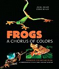 Frogs A Chorus Of Colors