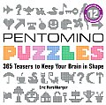 Pentomino Puzzles 365 Teasers to Keep Your Brain in Shape