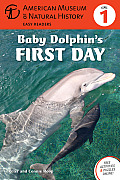 Baby Dolphins First Day Level 1