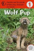 Wolf Pup: (Level 1) Volume 4
