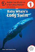Baby Whales Long Swim