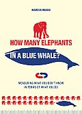 How Many Elephants in a Blue Whale Measuring What You Dont Know in Terms of What You Do