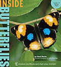 Inside Butterflies