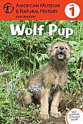 Wolf Pup (American Museum of Natural History - Level 1)