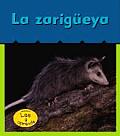 La Zarigueya