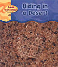 Hiding In A Desert