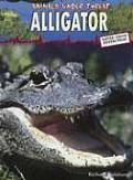Animals Under Threat American Alligator