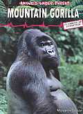 Mountain Gorilla Animals Under Threat