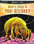 Hidden Life Whats Living In Your Kitchen