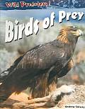Wild Predators Birds Of Prey