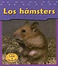 Los Hamsters Las Mascotas De Mi Casa