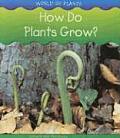 How Do Plants Grow World Of Plants