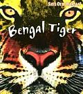 Bengal Tiger Save Our Animals