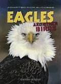 Eagles & Other Birds Adapted For Success