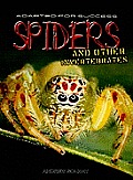 Spiders & Other Invertebrates