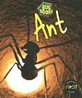 Bug Books #1403: Ant