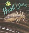 Head Louse