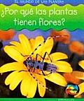 Mundo de las Plantas #1403: ?Por Qui Las Plantas Tienen Flores? (Why Do Plants Have Flowers?)
