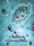 World Of Microorganisms 2nd Edition