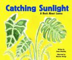 Catching Sunlight A Book About Leaves