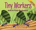 Tiny Workers Ants in Your Backyard