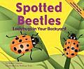 Spotted Beetles: Ladybugs in Your Backyard (Backyard Bugs)