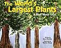 Worlds Largest Plants