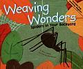 Weaving Wonders Spiders In Your Backyard