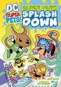 DC Super Pets 01 Super Hero Splash Down