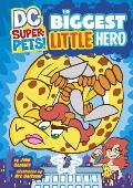 Biggest Little Hero Dc Super Pets