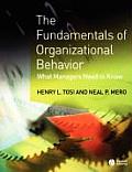 The Fundamentals of Organizational Behavior: What Managers Need to Know