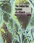 Endocrine System At A Glance 2nd Edition