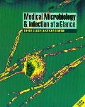 Medical Microbiology and Infection at a Glance, 2nd Edition