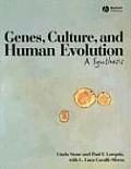 Genes Culture & Human Evolution A Synthesis