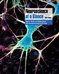 Neuroscience at a Glance (At a Glance)