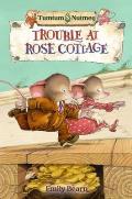 Trouble at Rose Cottage Emily Bearn