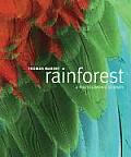 Rainforest A Photographic Journey