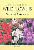 Field Guide To The Wild Flowers Of North America