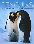 Penguins Lifestyle Habitat Feeding Behav