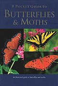 Pocket Guide To Butterflies