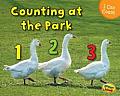 Counting at the Park