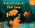 Counting in the Sea