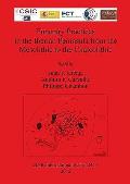 Funerary Practices in the Iberian Peninsula from the Mesolithic to the Chalcolithic