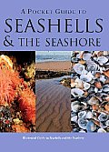 Pocket Guide To Seashells & The Seashore