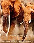 Spirit Of The Elephant Majestic Giant of the Animal Kingdom