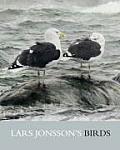 Lars Jonssons Birds Paintings From a Near Horizon