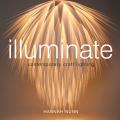 Illuminate: Contemporary Craft Lighting