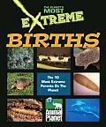 Births (Planet's Most Extreme)